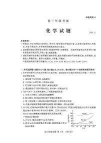 山东省泰安市2026届高三上学期期中考试化学试卷（PDF版附答案）