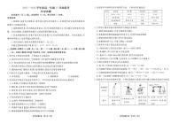 广东衡水金卷2025-2026学年高一上学期11月联考化学试题（含答案）