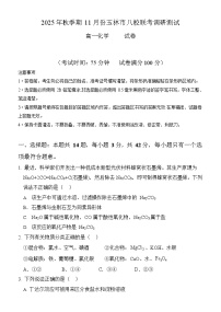 广西玉林市八校联考2025-2026学年高一上学期11月期中考试化学试卷