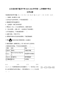 山东省济南市重点中学2025-2026学年高一上学期期中考试化学试卷（含答案）