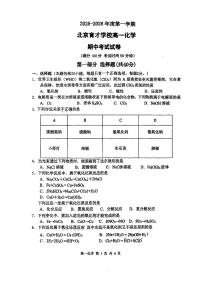 2025北京育才学校高一（上）期中化学（选考班）试卷（教师版）