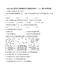 2025-2026学年江苏省南京市九校联合体高一（上）期中化学试卷-自定义类型