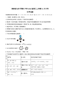 湖南省长沙市雅礼中学2026届高三上学期11月月考化学试题 （含答案）