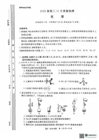 湖南省天壹名校联盟2026届高三11月质量检测化学试卷（含答案）