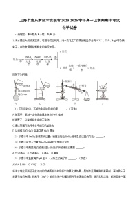 上海市浦东新区六校联考2025-2026学年高一上学期期中考试化学试卷（含答案）