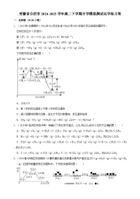 安徽省合肥市2024-2025学年高二下学期开学适应性模拟测试 化学练习卷-A4