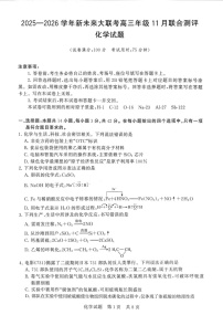 河南省新未来大联考2025-2026学年高三上学期11月考试化学试卷