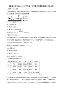 安徽省合肥市2024-2025学年高一下学期开学适应性模拟测试化学练习卷-A4