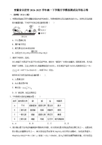 安徽省合肥市2024-2025学年高一下学期开学适应性模拟测试化学练习卷-A4