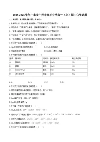 广东省广州市育才中学2025-2026学年高一上学期期中考试化学试题（含答案）