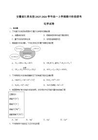 安徽省江淮名校2025-2026学年高一上学期期中阶段检测-化学试题（含答案）