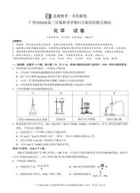 广西邕衡教育·名校联盟广西2026届高三上学期11月份阶段性联合测试化学试题（含答案）