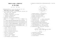 湖北省襄阳市第四中学2025-2026学年高一上学期期中考试 化学试题