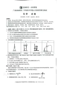2026届广西高三上学期二模化学试题（高考模拟）