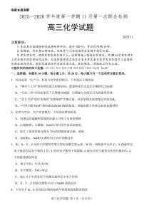 2026届山东省高三上学期11月联考化学试题（含答案）