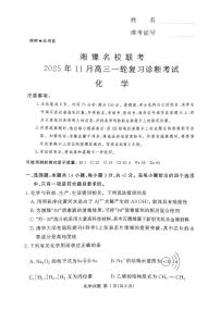 湖南省湘豫联考2026届高三上学期11月期中化学试题（含答案）