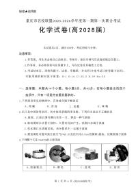 重庆名校联盟2025-2026学年高一上学期11月期中联考化学试题（含答案）