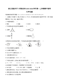 浙江省温州市十校联合体2025-2026学年高一上学期期中联考化学试题（含答案）