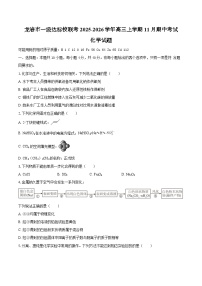 福建省龙岩市一级达标校联考2025-2026学年高三上学期11月期中考试化学试题（含答案）