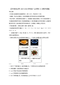 辽宁省营口市2025-2026学年高一上学期11月期中化学试卷（学生版）