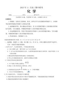 湖南三新教育联盟2026届高三上学期11月期中化学试题+答案