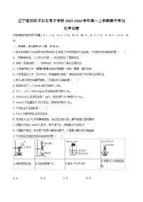 辽宁省沈阳市东北育才学校2025-2026学年高一上学期期中考试化学试卷（含答案）