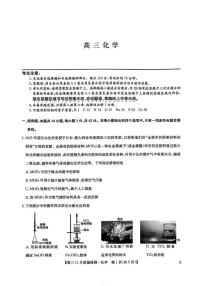 2025-2026学年第一学期河南省九师联盟期中考试高三化学试卷（含答案）