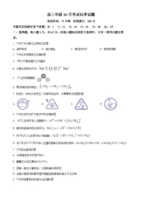 湖北省武汉市华中师范大学第一附属中学2026届高三上学期10月月考化学试题（Word版附解析）