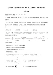 辽宁省点石联考2025-2026学年高三上学期11月份联合考试化学试卷（含答案）