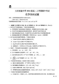 黑龙江省大庆实验中学2025-2026学年高二上学期11月期中化学试题