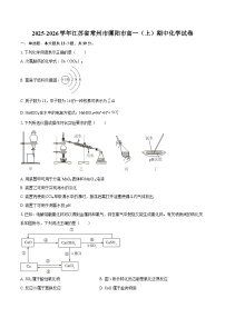 2025-2026学年江苏省常州市溧阳市高一（上）期中化学试卷-自定义类型