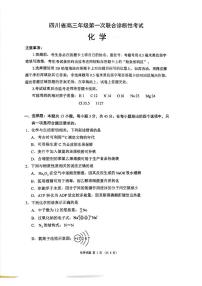 四川省成都市蓉城名校联盟2026届高三上学期第一次联合诊断性考试化学试题（含答案）