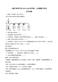 上海市向明中学2025-2026学年高一上学期期中考试化学试卷（含答案）