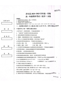 新疆维吾尔自治区喀什地区莎车县2024-2025学年高一上学期1月期末化学试题