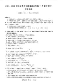 河南省新未来大联考2026届高三上学期11月联合测评化学试卷（含答案）