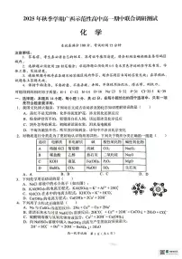 广西示范性高中2025-2026学年高一上学期期中联合调研测试化学试卷（含答案）