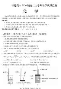 四川省乐山市重点高中2024-2025学年高二上学期期末质量监测化学试卷（含答案）