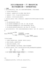 2025北京重点校高一（下）期末化学汇编：海水中的重要元素——钠和氯章节综合