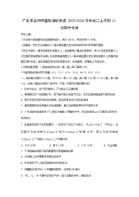 广东省深圳市盟校调研测试2025-2026学年高二上学期11月期中考试化学试卷（学生版）