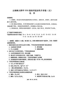 云南师大附中2026届高三上学期适应性12月月考卷（五）化学试题（含答案）