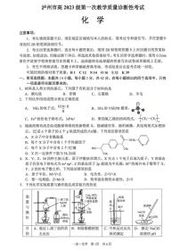 2026届四川省泸州市高三年级上学期第一次模拟考试化学试卷（含答案）