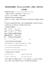 陕西省西安高新第一中学2025-2026学年高一上学期11月期中考试化学试题（含答案）