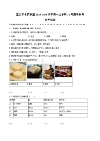 重庆市名校联盟2025-2026学年高一上学期11月期中联考 化学试题（含答案）