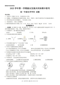 浙江省丽水发展共同体2025-2026学年高一上学期11月期中考试化学试卷