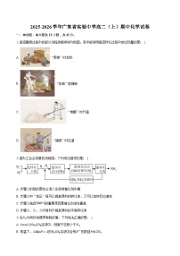 2025-2026学年广东省实验中学高二（上）期中化学试卷（有答案和解析）