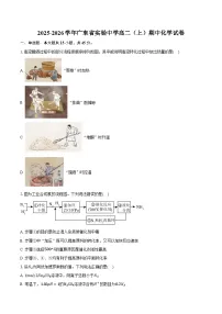 2025-2026学年广东省实验中学高二（上）期中化学试卷（有答案和解析）