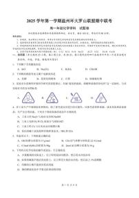 浙江温州环大罗山联盟2025-2026学年高一上学期期中联考化学试卷+答案
