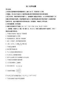 安徽省九师联盟2026届高三上学期11月联考化学试卷（Word版附解析）
