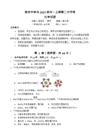 四川省遂宁市射洪中学2025-2026学年高一上学期12月考试化学试卷