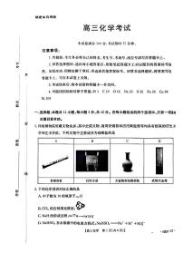 2025-2026学年第一学期河南省金太阳联考高三化学试卷（含答案）